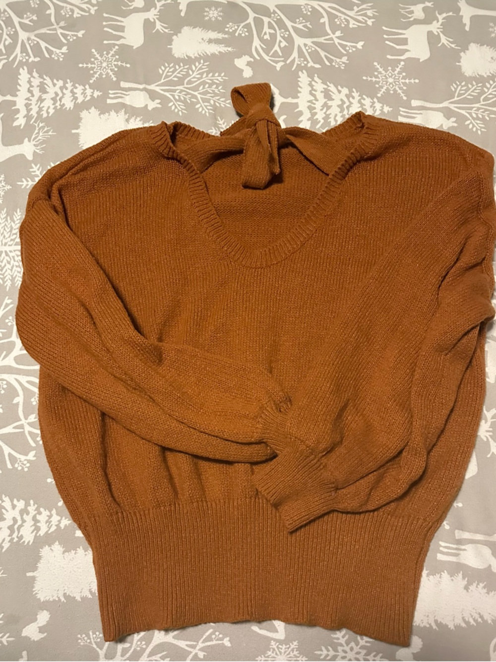 Women's Crewneck Sweater in Burnt Orange